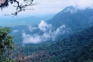Agumbe near Kundadri Hill